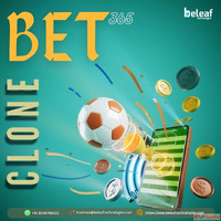 Make Money While Others Bet Bet365 Clone Gets You There
