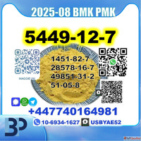 5449-12-7 BMK PMK BK4 2B4M source factory high purity