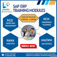 S.A.P institute in Ameerpet