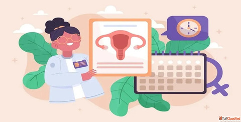 Bicornuate Uterus Meaning Symptoms Causes Treatment