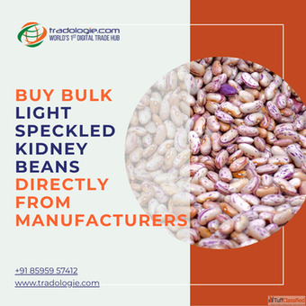Buy Bulk Light Speckled Kidney Beans Directly From Manufacturers