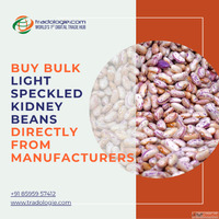 Buy Bulk Light Speckled Kidney Beans Directly From Manufactu...