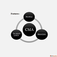 Cybersecurity Maturity Assessment GIS Consulting