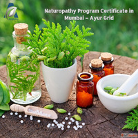 Naturopathy Program Certificate in Mumbai - Ayur Grid