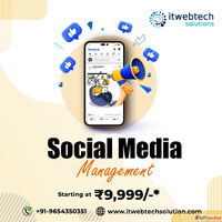 Top Website Development Digital Marketing Company In Noida D...