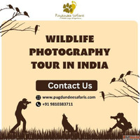 How to Combine Wildlife Photography with a Cultural Tour in ...