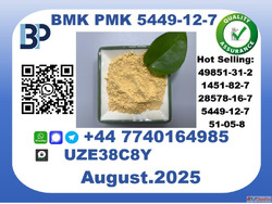 Pharmaceutical BMK PMK 5449-12-7 Chemical raw materials