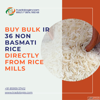 Buy Bulk IR 36 Non Basmati Rice Directly From Rice Mills