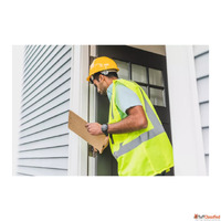Pest Inspection Sydney