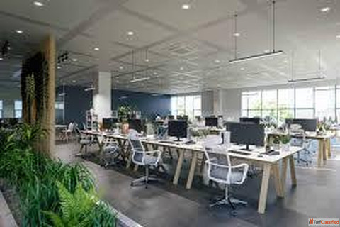 Interior design Build Company in Delhi