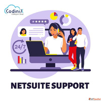 NetSuite Support