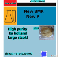 New BMK Powder CAS 20320-59-6