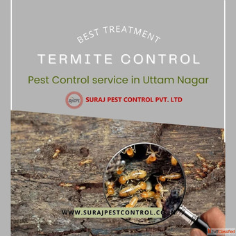 Best Anti Termite Treatment Provider in Uttam Nagar
