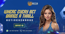 Betinexch - Your Hub for Sports and Entertainment Updates