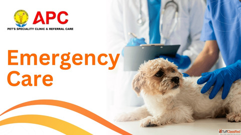 How to Search Best Pet or Veterinary Clinic in Kolkata