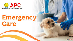 How to Search Best Pet or Veterinary Clinic in Kolkata