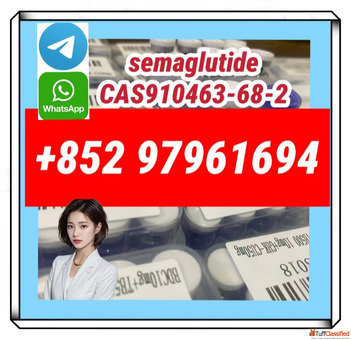 semaglutide910463-68-2 tirzepatide2023788-19-2
