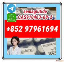 semaglutide910463-68-2 tirzepatide2023788-19-2
