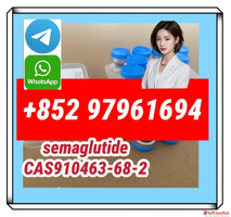 semaglutide910463-68-2 tirzepatide2023788-19-2 99purity