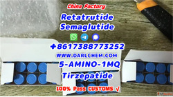 Semaglutide 5-AMINO-1MQ Retatrutide 910463-68-2 Best Price