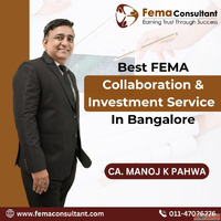 Best FEMA Collaboration And Investment Service In Bangalore