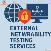 External network vulnerability testing services