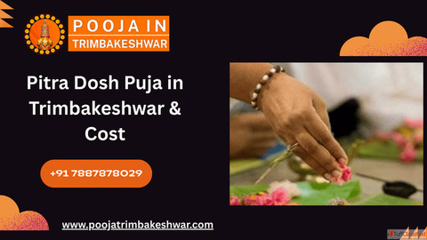 Pitra Dosh Puja in Trimbakeshwar Cost Trimbakeshwar Pandit Ashok Guruji