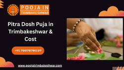 Pitra Dosh Puja in Trimbakeshwar Cost Trimbakeshwar Pandit A...