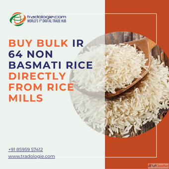Buy Bulk IR 64 Non Basmati Rice Directly From Rice Mills