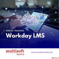 Workday LMS Training - Master Corporate Learning Management ...