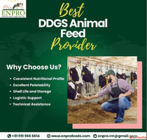 Animal feed provider in India