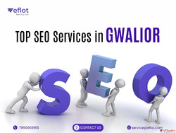 Expert SEO Services In Gwalior - Eflot