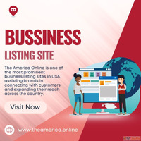 The America Online - Premier Business Listing Site USA