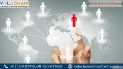 Advanced MLM Matrix Software for Modern Direct Selling