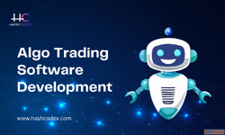 Hashcodex Custom Algo Software Built for Speed and Reliabili...