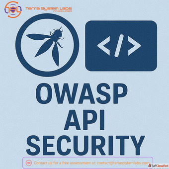 OWASP API security