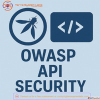 OWASP API security