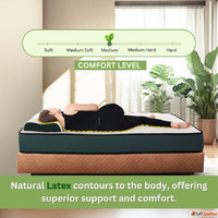 Affordable Latex Mattress Price in India