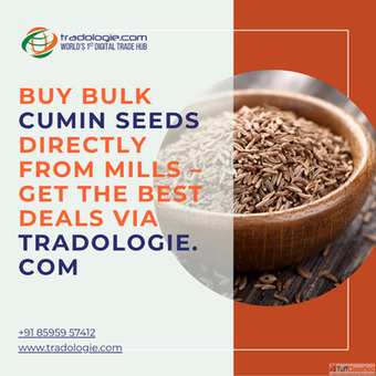 Buy Bulk Cumin Seeds Directly From Mills - Get the Best Deals via Tradologie.com