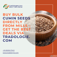 Buy Bulk Cumin Seeds Directly From Mills - Get the Best Deal...