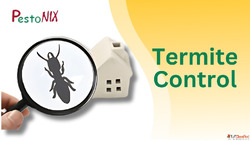 Frastuated from Harmful Insects Search Best Pest control Com...