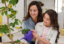 Easy Tips for Gardening at Home - Grow Healthy Plants All Ye...