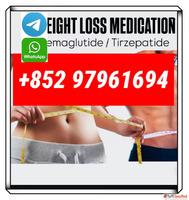 semaglutide910463-68-2 tirzepatide2023788-19-2 top quality w...