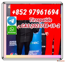 trizepatide2023788-19-2 sema 99purity