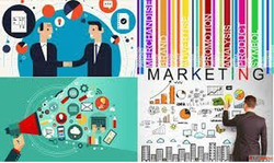 Professional Marketing Project Solutions for Business Growth...