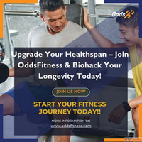 Why OddsFitness is the Ultimate Choice for Personal Fitness ...