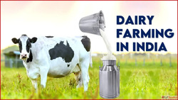 Get Funding for Your Dairy Business in India Today