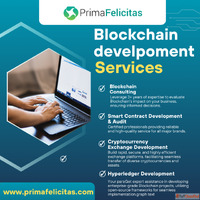 Top Blockchain development services by PrimaFelicitas