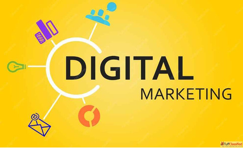 Unlock Big Growth with the Best Digital Marketing Company in Jalandhar