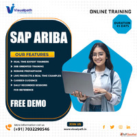 Best SAP Ariba Online Training - Visualpath India Course